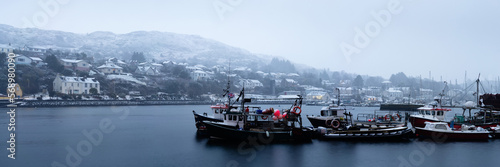Tarbert fishing boats and town Scotland photo
