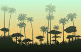 Thickets of adult palm trees silhouette. Tropical forest. Clear bright sky. Dense jungle with big trees. Thickets of plants. Cartoon fun style. Flat design. Vector