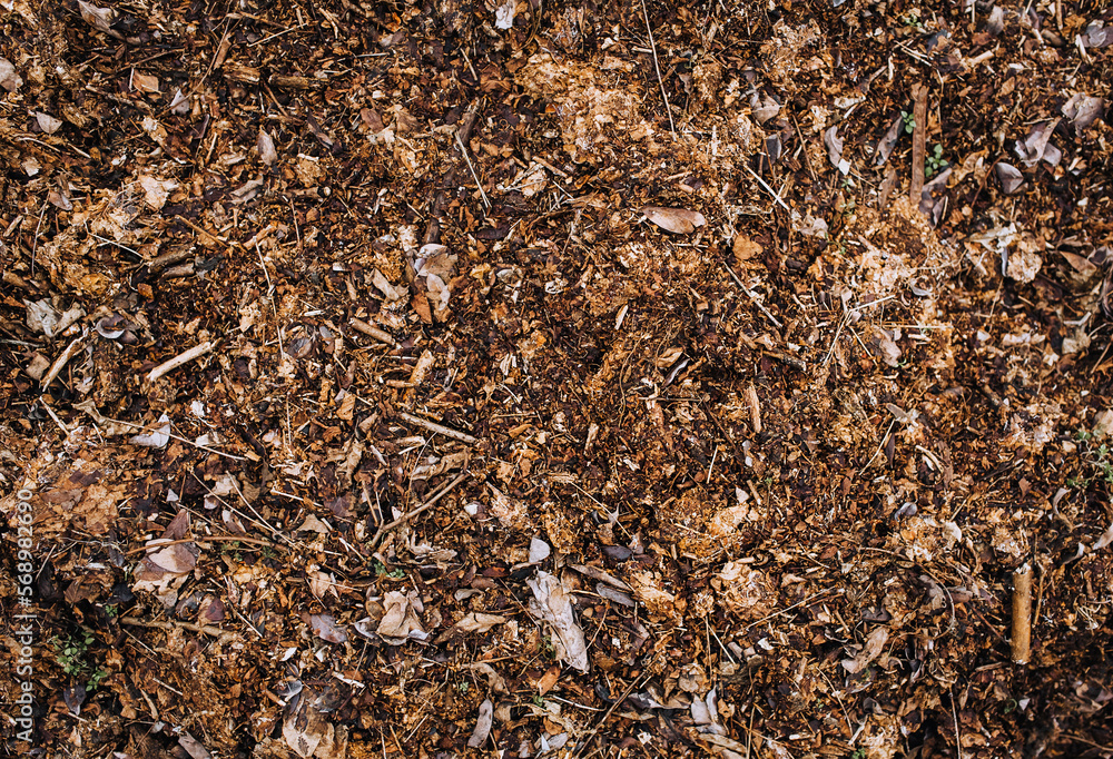 Manure, fertilizer from leaves from the forest lies on the ground. Photography, nature, background, top view. Manure, fertilizer from leaves from the forest lies on the ground. Photography, nature, background, top view.