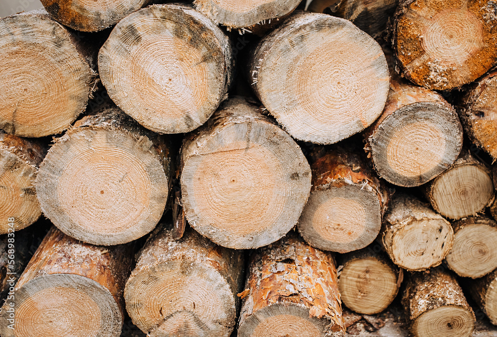 Background, texture of pine, coniferous logs, sawn trees in a row. Photography, preparation for the winter. Background, texture of pine, coniferous logs, sawn trees in a row. Photography, preparation for the winter.