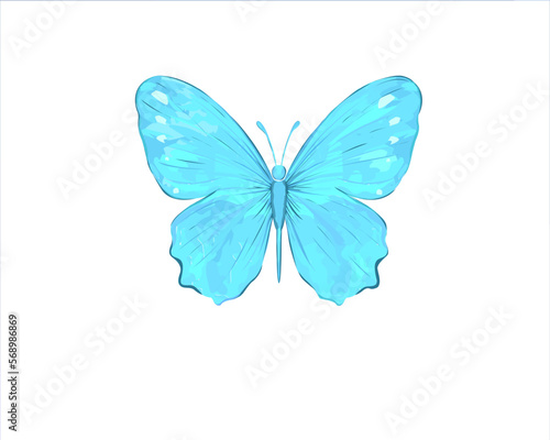 watercolor butterfly hand drawn design vector © ulucsevda