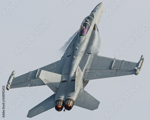 Εκτύπωση καμβά EA-18 Growler Electronic warfare Fighter Jet