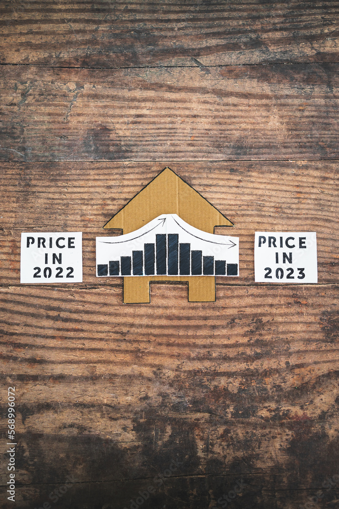 property prices and real estate affordability concept, cardboard house