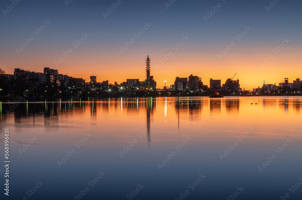 茨城県水戸市　野鳥とともに迎える日の出直後の服の千波湖の朝