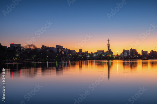 茨城県水戸市 野鳥とともに迎える日の出直後の服の千波湖の朝