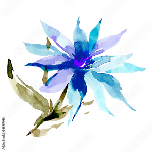 Blue Lily flower for design, invitations, postcards. Summer botanical illustration. Watercolor abstract blue bud. Blue flower on a white background. © Andrei