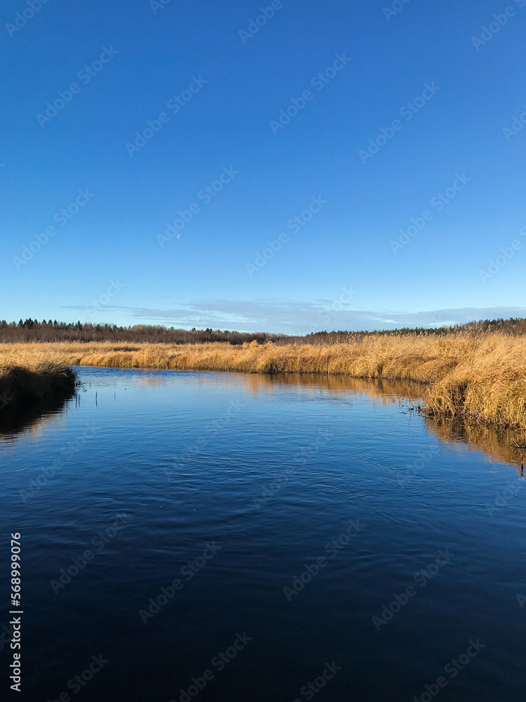 The blue sky is reflected in the water, dry, yellow reeds on the shore. Nature, the moon is visible in the distance. Autumn landscape on the lake. Travel and tourism concept.