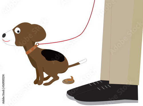 犬の飼い主はマナーを守り、糞は取り除きましょう。