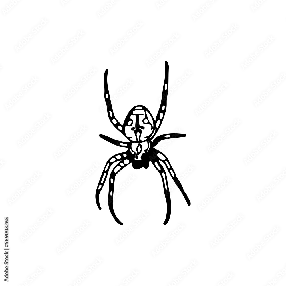 vector illustration of a spider silhouette vector illustration of a spider silhouette