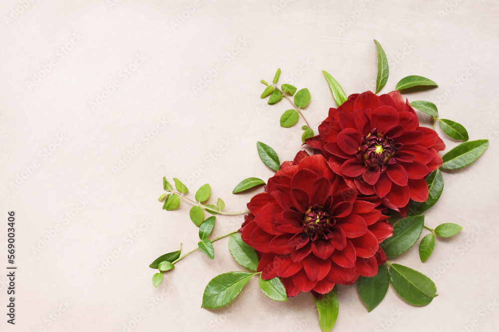 Red festive dahlia flowers background, valentine bouquet card, selective focus, toned image	