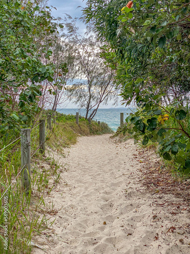 Path to the beach