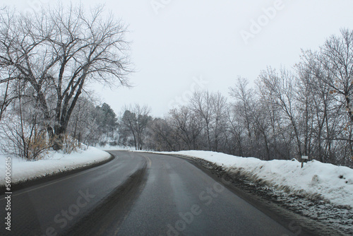 Twisty road snowy trees