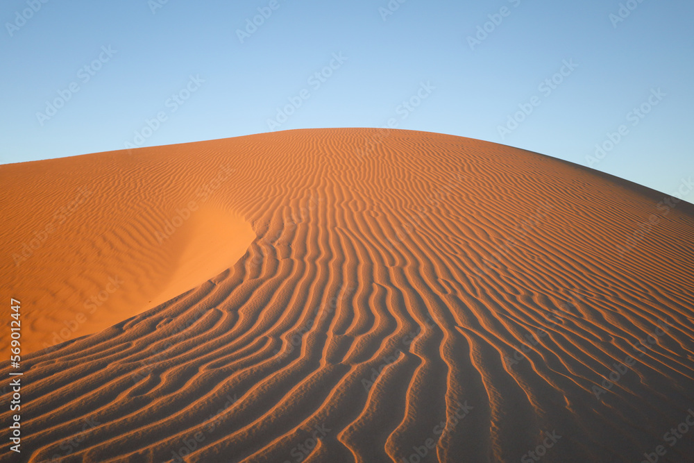Wind Swept Sand Dunes in Sunset Desert