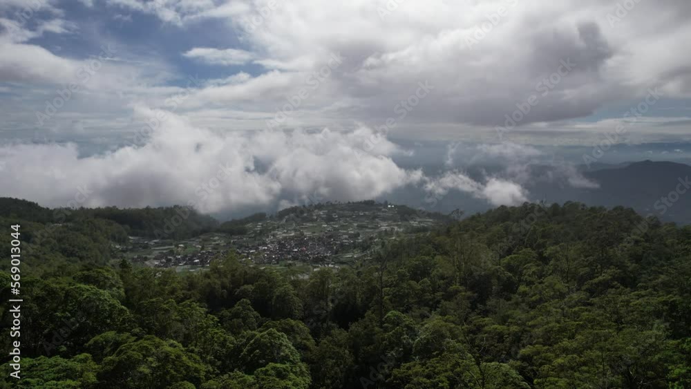Rainforest ecosystem and healthy environment concept and background, Texture of green tree forest view from above Rainforest ecosystem and healthy environment concept and background, Texture of green tree forest view from above