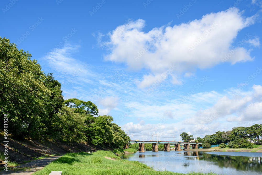 Obraz premium 夏の岡崎公園