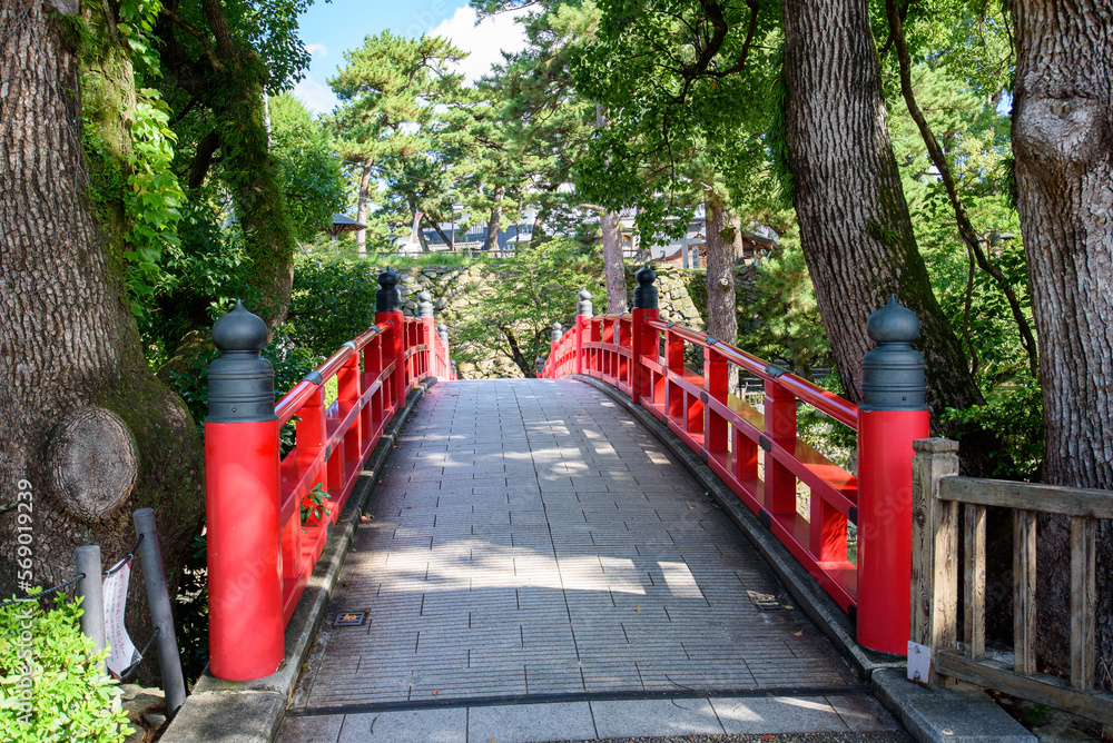 夏の岡崎公園