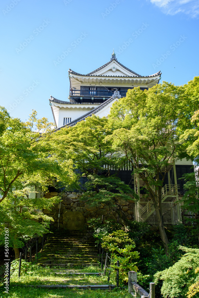 Obraz premium 夏の岡崎城