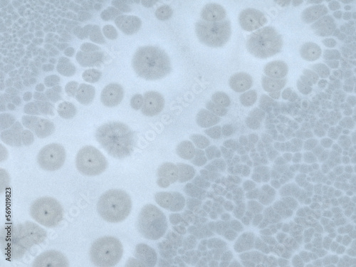 Wallpaper Mural frozen lake surface as nature background Torontodigital.ca