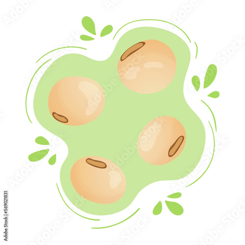 Fresh soybeans. Cute flat design. Vegetarian protein source. Organic legume for healthy food. Nutrition design. World Pulses Day. Cultivating pulses. Complete soya bean seeds. Glycine max. Fabaceae.