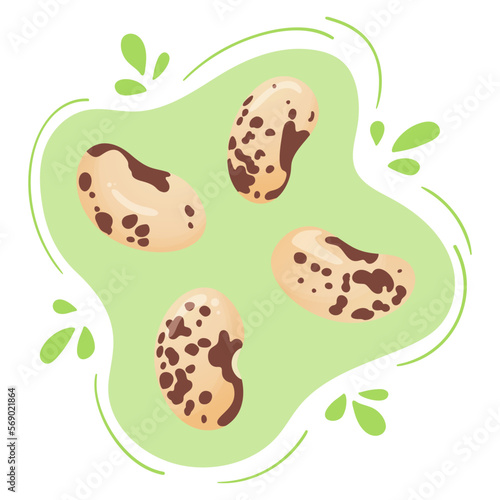 Fresh pinto beans. Cute flat design. Vegetarian protein source. Organic legume for healthy food. Nutrition design. World Pulses Day. Cultivating pulses. Common speckled bean.