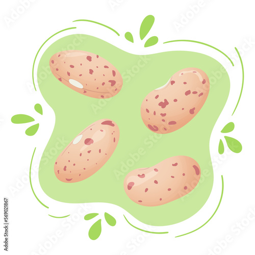 Pinto carioca bean. Red sugar speckled beans. Cute flat design. Vegetarian protein source. Organic legume for healthy food. Nutrition design. World Pulses Day. Cultivating pulses.