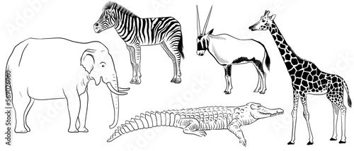 vector drawing sketch of african animals, zebra, elephant, giraffe, antelope and crocodile, hand drawn illuastration , isolated nature design element
