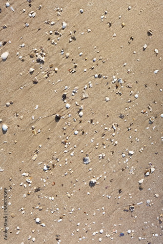 Sand on the beach for background