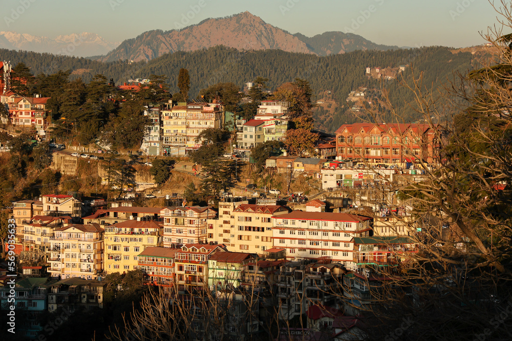 Fototapeta premium Many houses on a densely populated hillside in Shimla Northern India. House in the foothills of the Himalaya mountains capital of Himachal Pradesh. Ariel view of Shimla town.