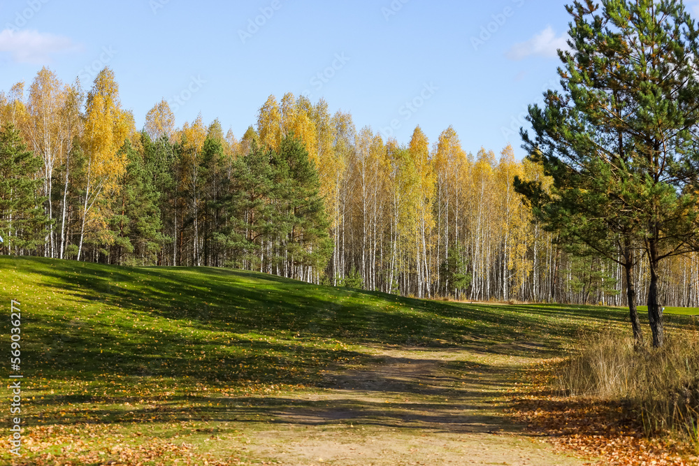 Golf course, landscape, green grass on the background of the forest and a bright sky with clouds. High quality photo