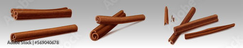 Cinnamon sticks, brown indian spices. Bundles of dry cinnamon, cooking and baking seasoning, aromatic condiment. Canella sticks isolated on background, vector realistic illustration