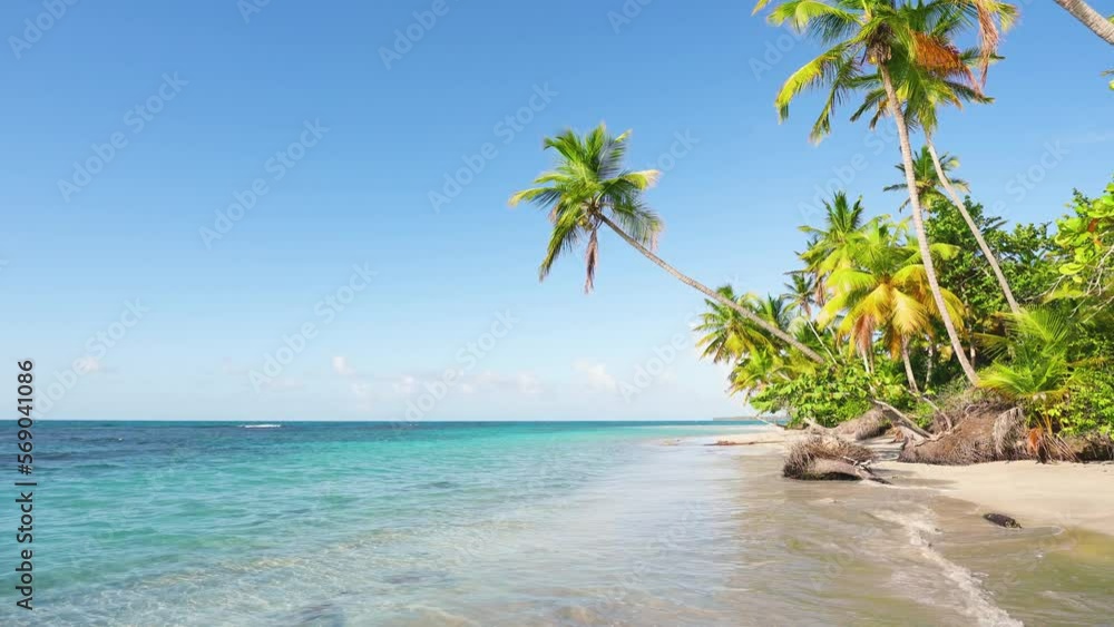 Amazing landscape of Maldives island. Beautiful beach scene with palm trees and perfect turquoise sea water. Relaxing and exotic view of the tropical coast. Luxury summer vacation and holiday concept. Amazing landscape of Maldives island. Beautiful beach scene with palm trees and perfect turquoise sea water. Relaxing and exotic view of the tropical coast. Luxury summer vacation and holiday concept.