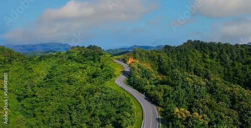The highway stairs to the sky of road trough with green nature forest as the natural landscape background