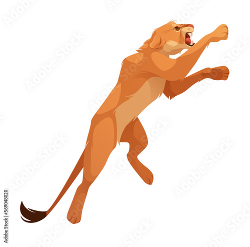 Lioness, wild cat jump and bite. Angry african feline animal, female lion character in jumping pose isolated on white background, vector cartoon illustration