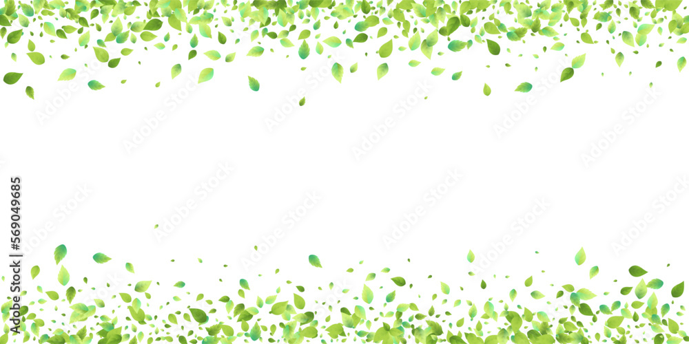Leaves Green Falling Flying Foliage Leaf Tea Mint Leaves Green Falling Flying Foliage Leaf Tea Mint