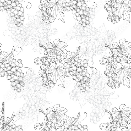 Seamless pattern with grape branch. Wineyard retro wallpaper. Garden background Sketch wild flower for background, texture, wrapper pattern, frame or border.