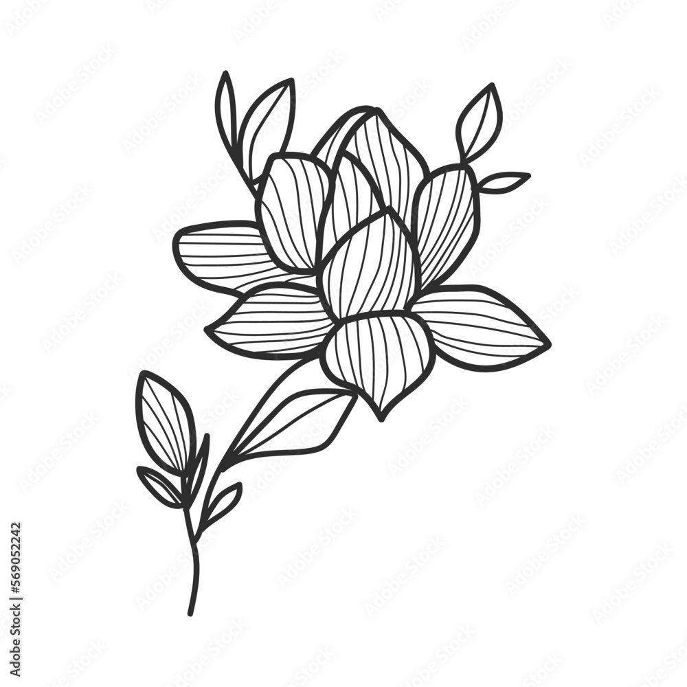 Hand-Drawn Botanical Branches and Leaves Illustration Hand-Drawn Botanical Branches and Leaves Illustration