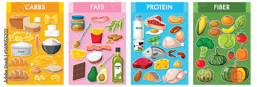 The four main food groups