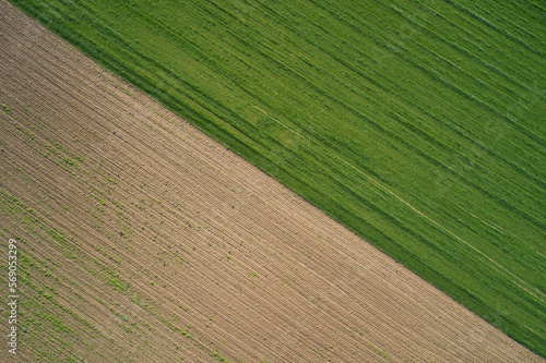 Top view of a green and plowed field in summer in rural Italy