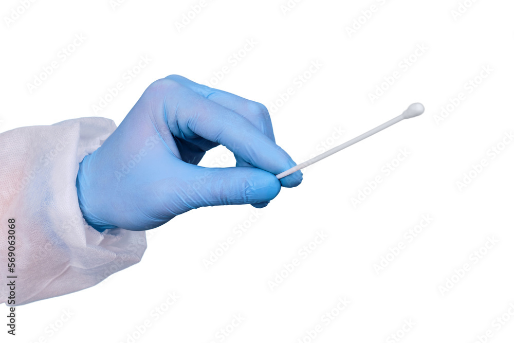 A hand in a blue glove with a test for taking a smear for the analysis of covid, isolated on a white background A hand in a blue glove with a test for taking a smear for the analysis of covid, isolated on a white background