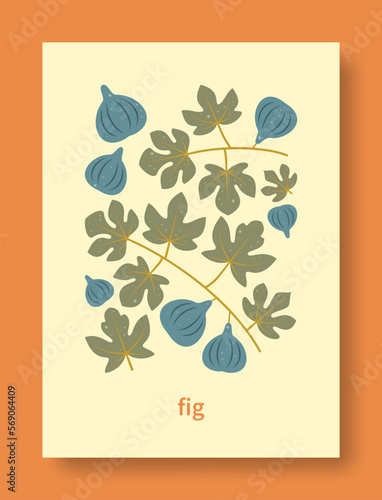 Vector illustration abstract still life of fig branch and fig fruit in pastel colors.