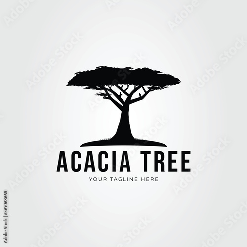 silhouette acacia tree logo. mimosa plat symbol vector illustration design