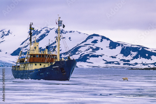 Tourist ship in a icy fjord with a Polar bear at Svalbard © Lars Johansson