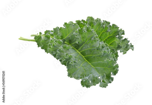  Kale isolated on white background