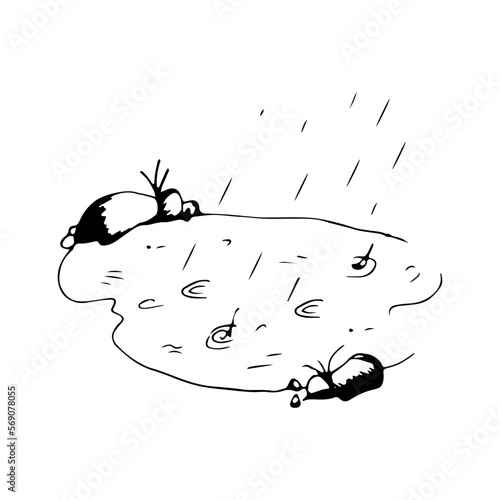 Silhouette of a puddle with rain and stones on an isolated white background.