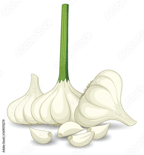 Garlic heads with clove on white background