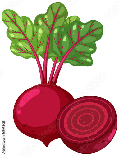Isolated vegetable beetroot cartoon photo