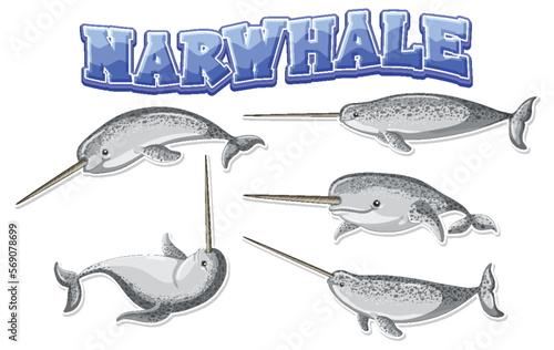 Narwhale cartoon character in different poses