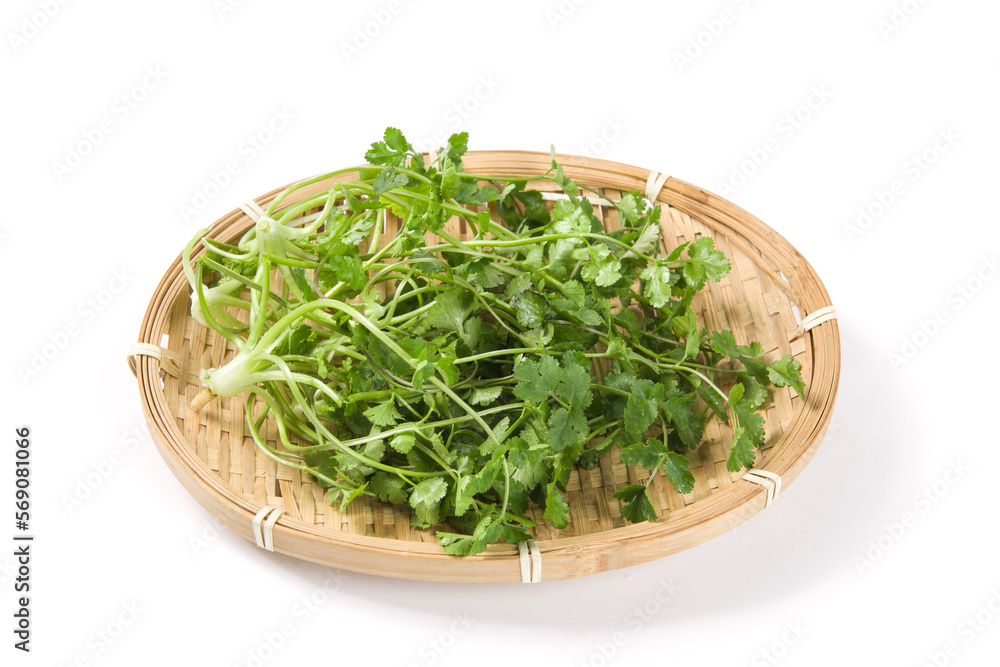Fresh coriander or Chinese parsley isolated on white background. Fresh coriander or Chinese parsley isolated on white background.