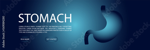 Web banner template with human healthy stomach. Modern design, vector illustration cartoon style