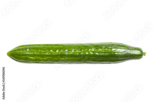 Fresh and Ripe Cucumber Isolated